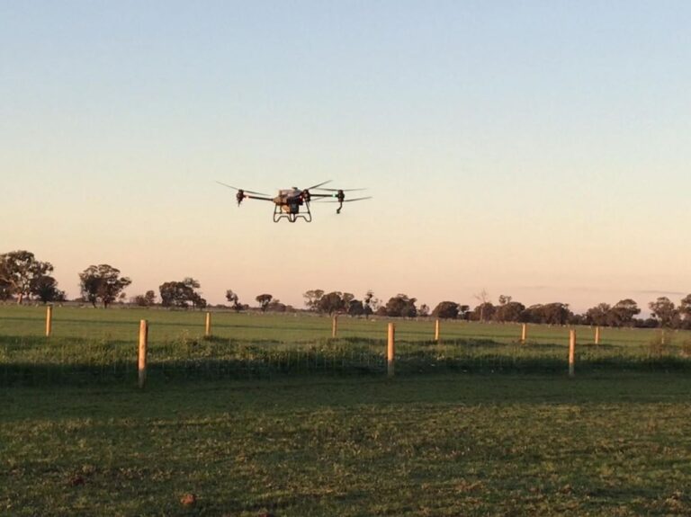 T40 Drone weed spaying over green pasture