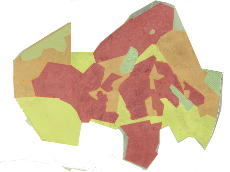 WEED PRIORITISATION AND DEPLOYMENT MAP BUCKRA