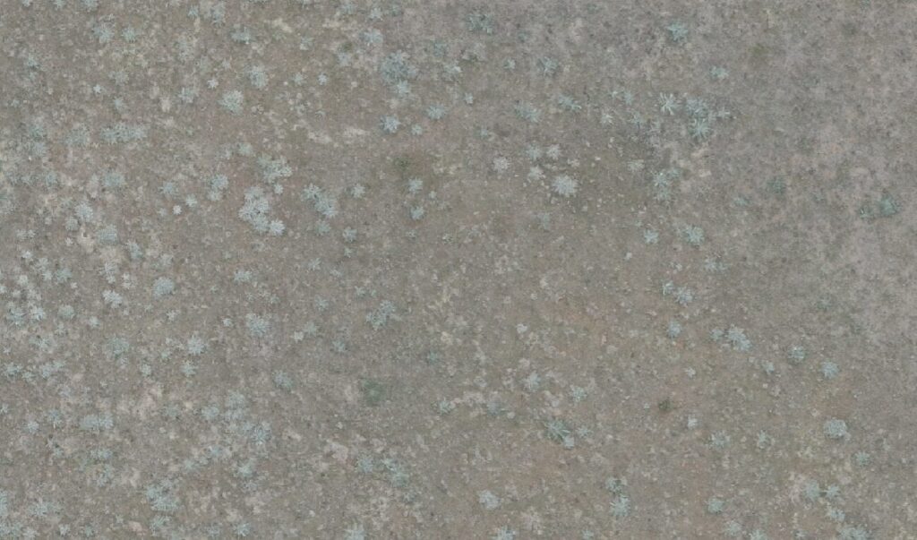 ECO:SENSE detections