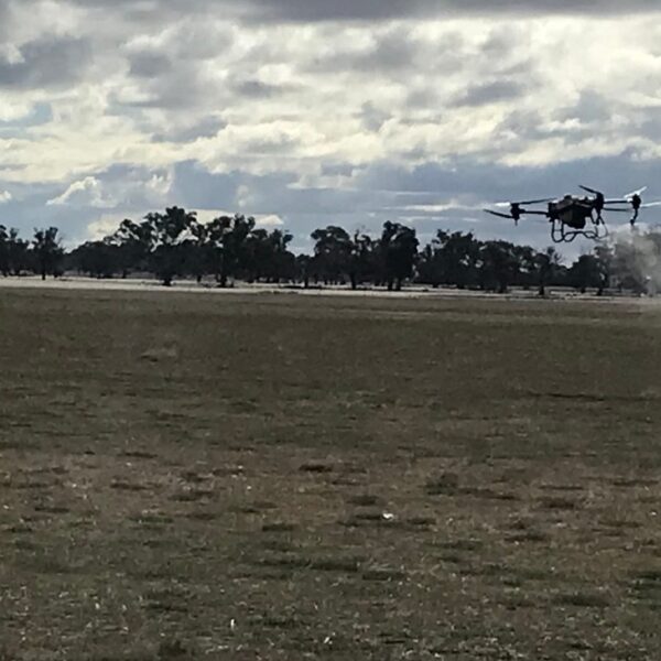 T40 drone spraying