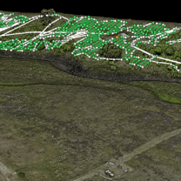 T40 TREATMENT MAP 2